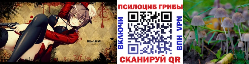 Псилоцибиновые грибы Psilocybine cubensis магазин наркотиков Кувшиново